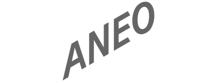 Aneo-logo